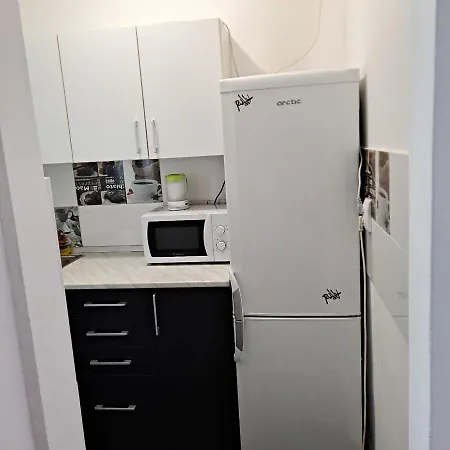 Studio Ris Harmanului Centrul Nou Apartament Brașov