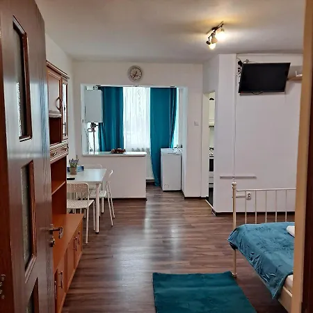 Studio Ris Harmanului Centrul Nou Apartament Brașov