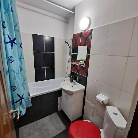 Apartament Studio Ris Harmanului Centrul Nou *
