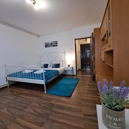 Apartament Studio Ris Harmanului Centrul Nou